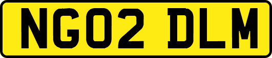 NG02DLM