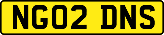 NG02DNS