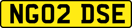 NG02DSE