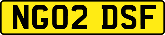 NG02DSF