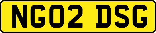 NG02DSG