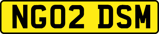 NG02DSM
