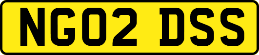 NG02DSS