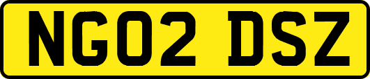 NG02DSZ