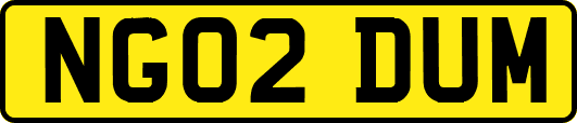 NG02DUM