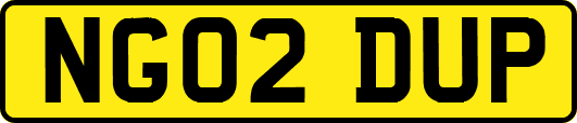 NG02DUP