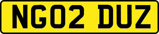 NG02DUZ