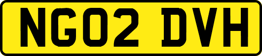 NG02DVH