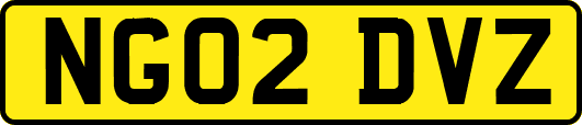 NG02DVZ