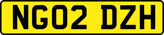 NG02DZH