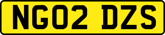 NG02DZS