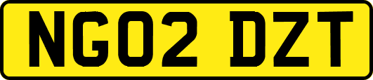 NG02DZT