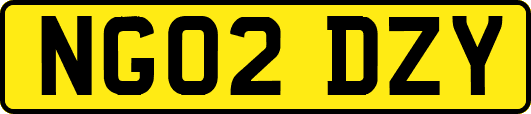 NG02DZY