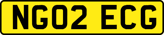 NG02ECG