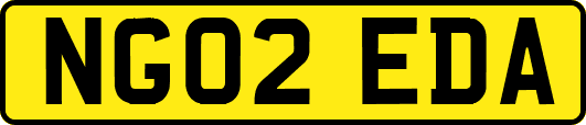 NG02EDA