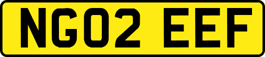 NG02EEF