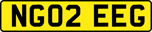 NG02EEG