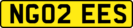 NG02EES
