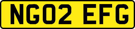 NG02EFG