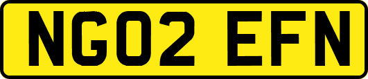 NG02EFN
