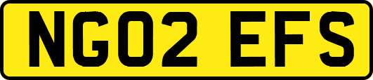 NG02EFS