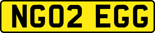 NG02EGG