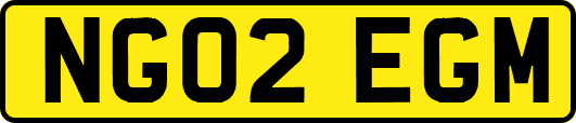 NG02EGM