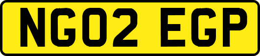 NG02EGP