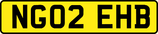NG02EHB