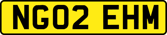 NG02EHM