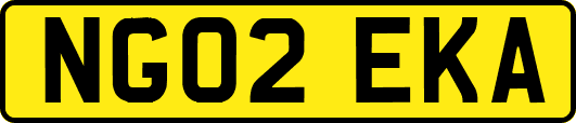 NG02EKA