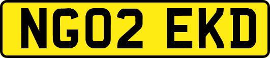 NG02EKD