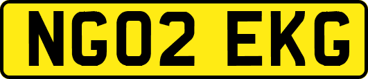 NG02EKG