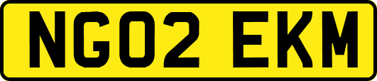 NG02EKM