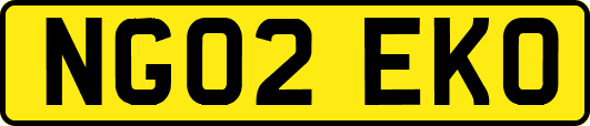 NG02EKO