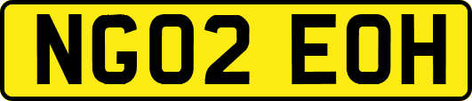 NG02EOH