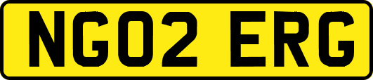 NG02ERG