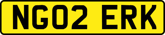 NG02ERK