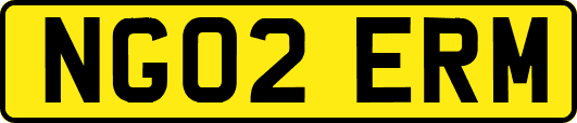 NG02ERM