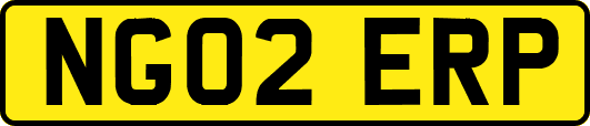 NG02ERP