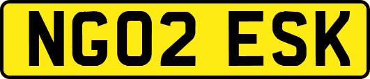 NG02ESK