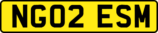 NG02ESM