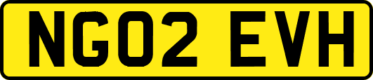 NG02EVH