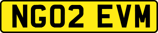 NG02EVM