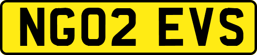 NG02EVS