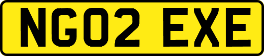 NG02EXE