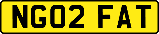 NG02FAT
