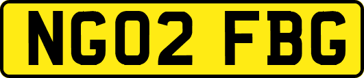 NG02FBG