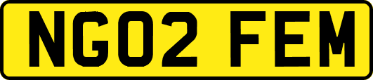 NG02FEM