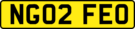 NG02FEO